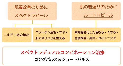 肌改善のためにスペクロラピール・肌若返りのためにルートロピール