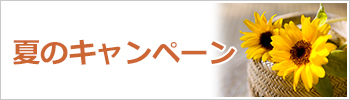 夏のキャンペーン