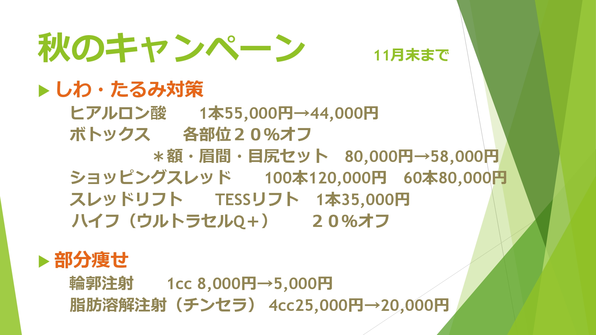秋のキャンペーン