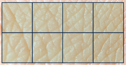 特徴その2 画像1
